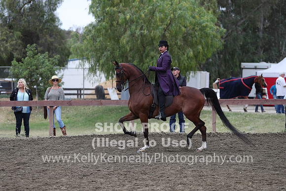 R2PS_Thurs_7195
