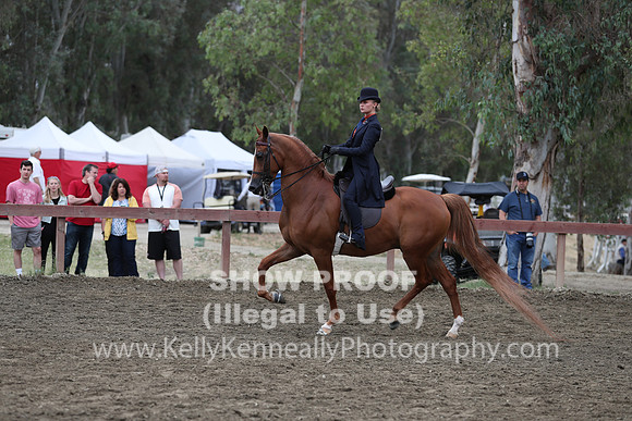 R2PS_Thurs_7202