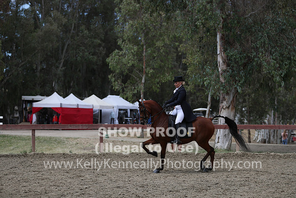 R2PS_Thurs_7797