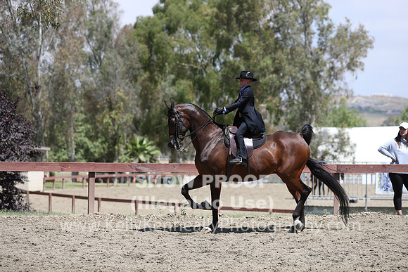 R2PS_Thurs_7881