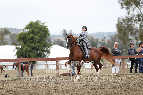 R2PS_Thurs_7491