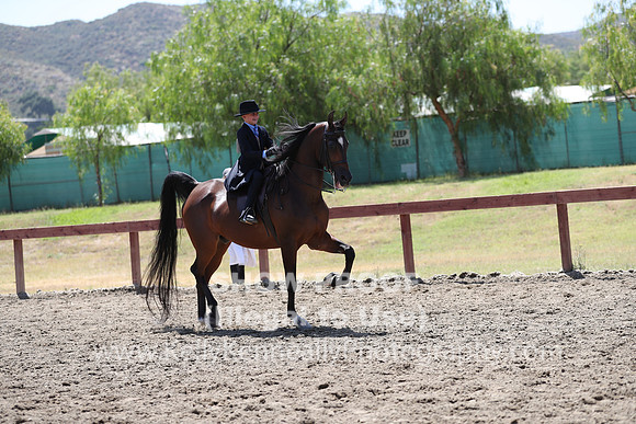 R2PS_Thurs_7904