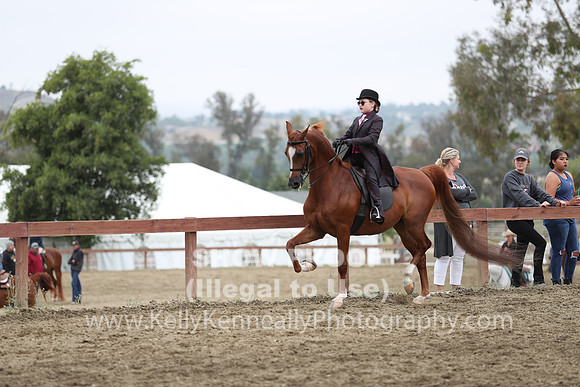 R2PS_Thurs_7497