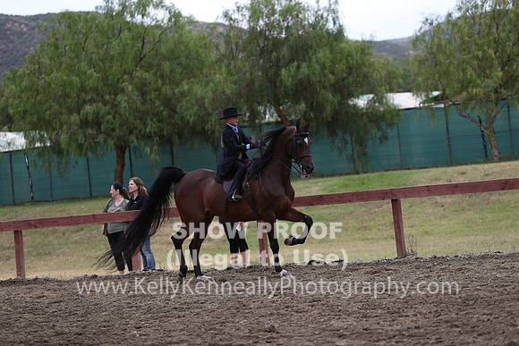 R2PS_Thurs_7519