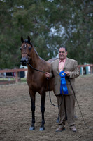 1) Tuesday Halter