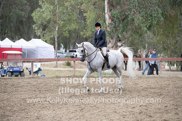 R2PS_TuesAM_0939