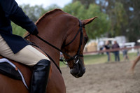 Class 181 HA Show Hack Limit Horse