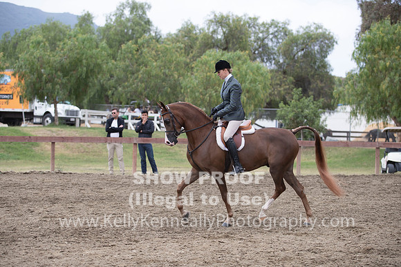 R2PS_TuesAM_0969