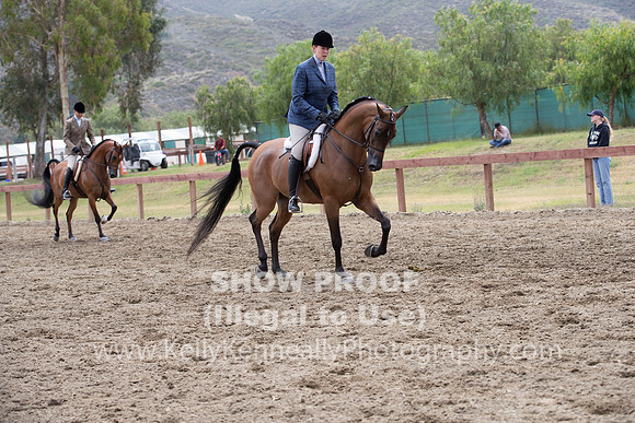 R2PS_TuesAM_1042