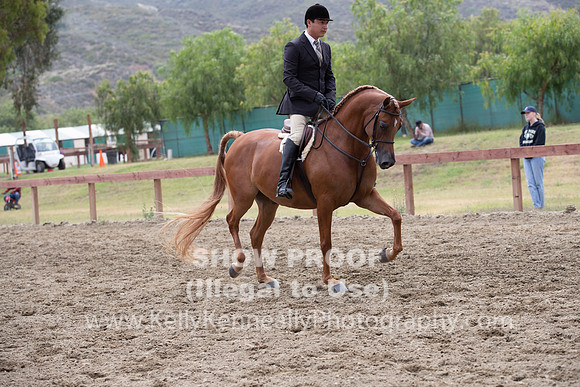 R2PS_TuesAM_1046