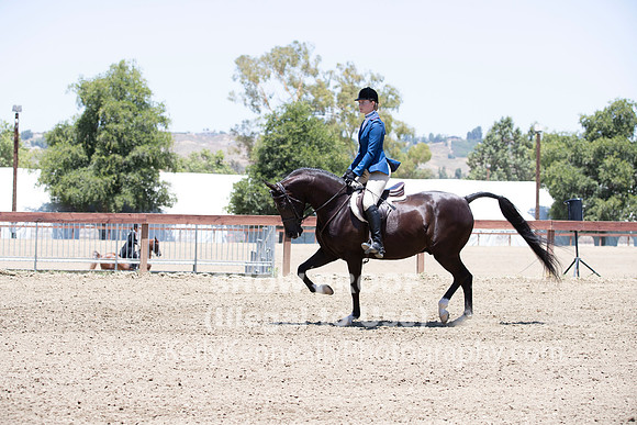 R2PS_TuesPM_1415
