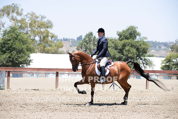 R2PS_TuesPM_1441