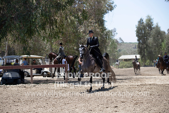 R2PS_TuesPM_1514