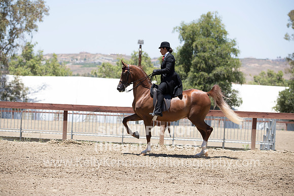 R2PS_TuesPM_1545
