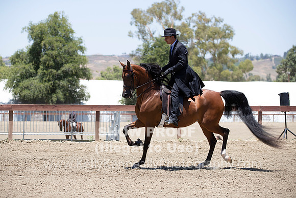 R2PS_TuesPM_1553