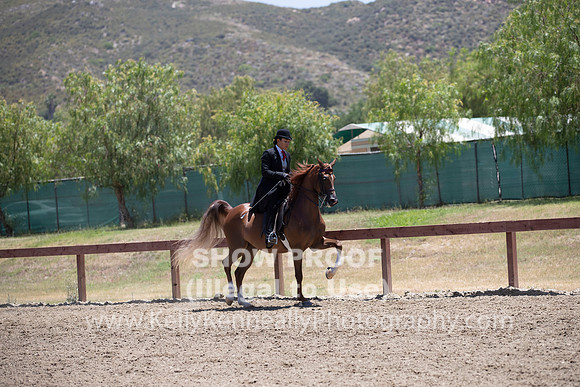 R2PS_TuesPM_1581