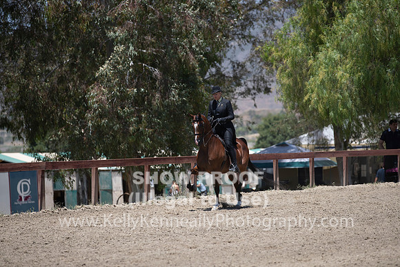 R2PS_TuesPM_2011