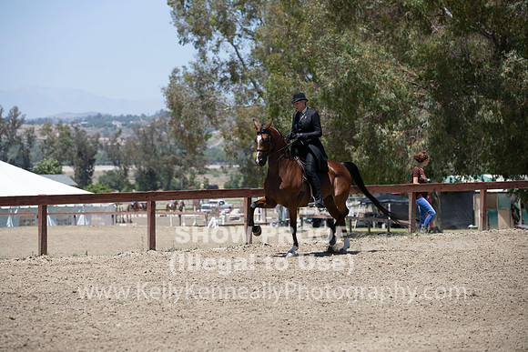 R2PS_TuesPM_2012
