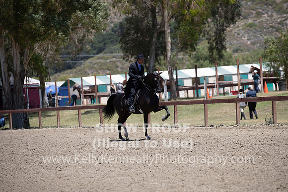 R2PS_TuesPM_2049