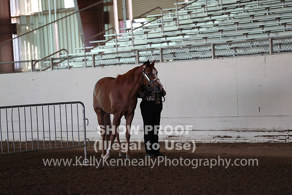 AHANC20_Wed__0013