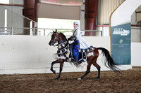 Class 24 HA/Aa Mounted Native Costume Open