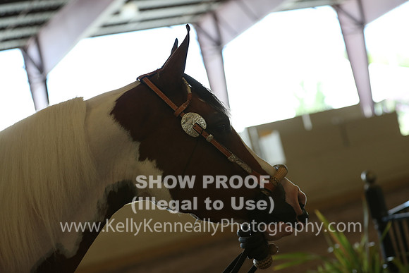 AHANC20_Wed_0876