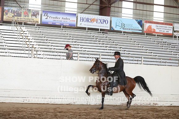 AHANC20_Wed_1006