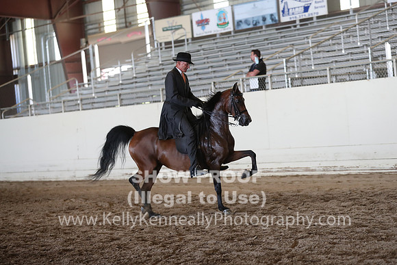 AHANC20_Wed_1013
