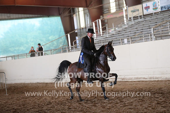 AHANC20_Wed_1020
