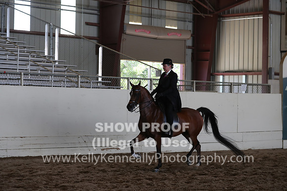 AHANC20_Wed_1090
