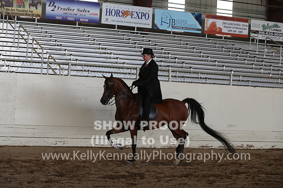 AHANC20_Wed_1095