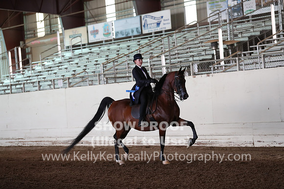AHANC20_Thurs_1316