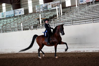 AHANC20_Thurs_1318