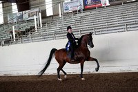 AHANC20_Thurs_1320