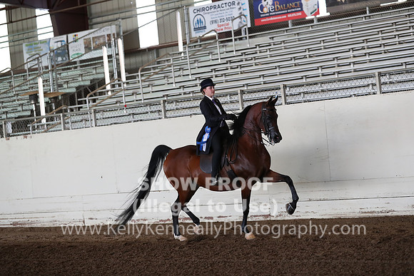 AHANC20_Thurs_1320