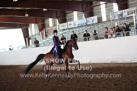 AHANC20_Thurs_1515