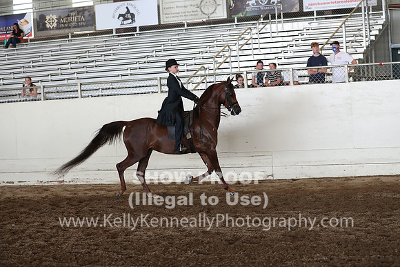 AHANC20_Thurs_2014