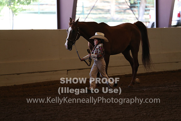 AHANC20_Thurs_2170