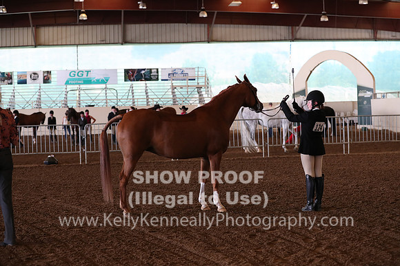 AHANC20_Thurs_2225