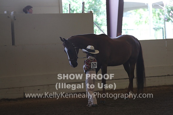 AHANC20_Thurs_2179