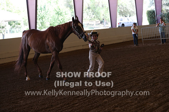 AHANC20_Thurs_2188