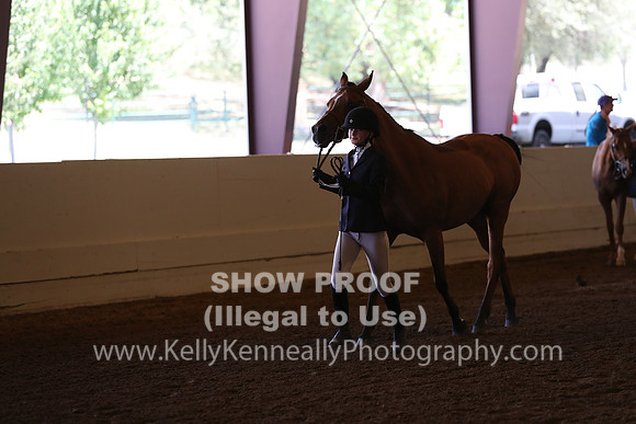 AHANC20_Thurs_2231