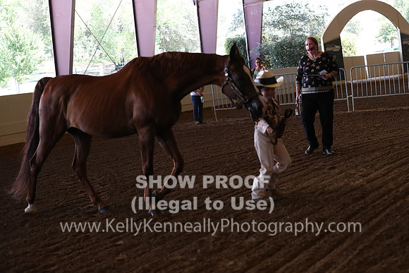 AHANC20_Thurs_2192