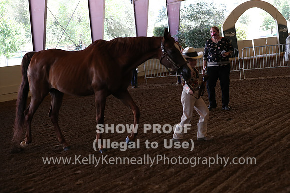 AHANC20_Thurs_2193
