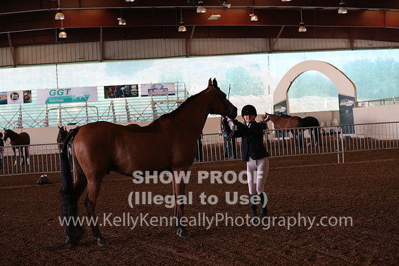 AHANC20_Thurs_2236