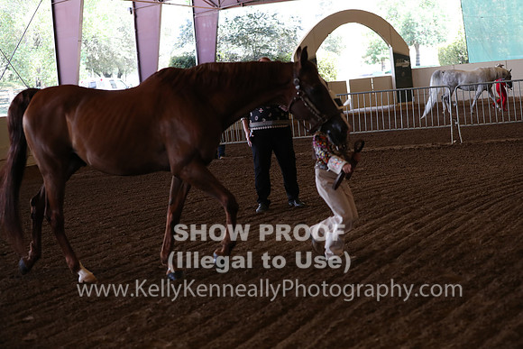 AHANC20_Thurs_2195