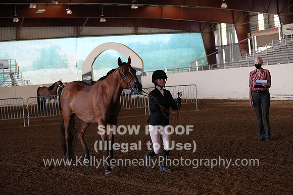 AHANC20_Thurs_2242