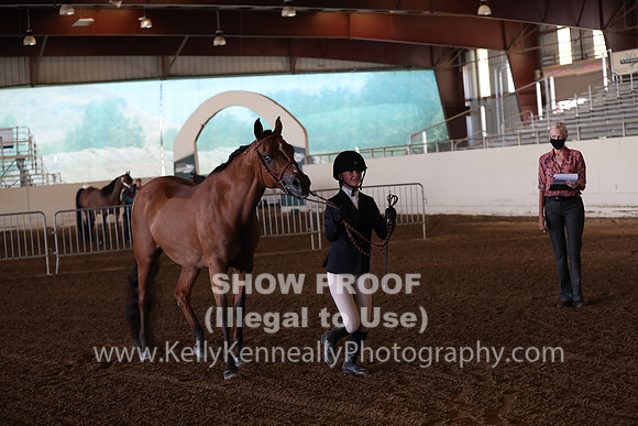 AHANC20_Thurs_2243
