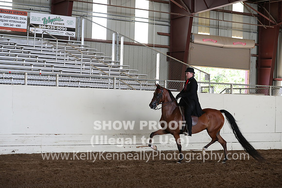 AHANC20_Thurs_2455