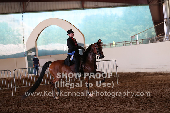 AHANC20_Thurs_2461